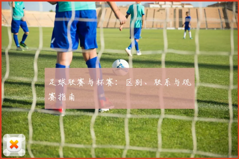 足球联赛与杯赛：区别、联系与观赛指南