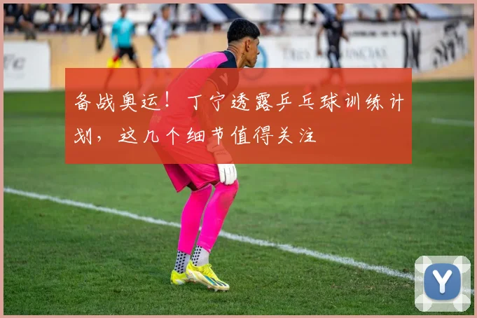 备战奥运！丁宁透露乒乓球训练计划，这几个细节值得关注