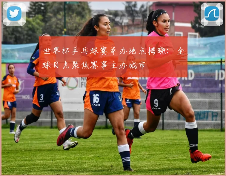 世界杯乒乓球赛举办地点揭晓：全球目光聚焦赛事主办城市