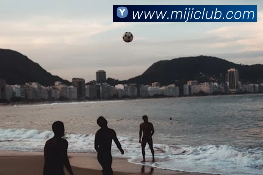 奖项证书